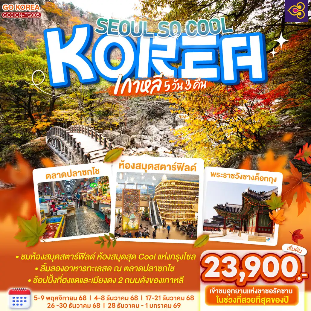 ทัวร์เกาหลี (KOREA) SEOUL SO COOL 5วัน 3คืน (TG)