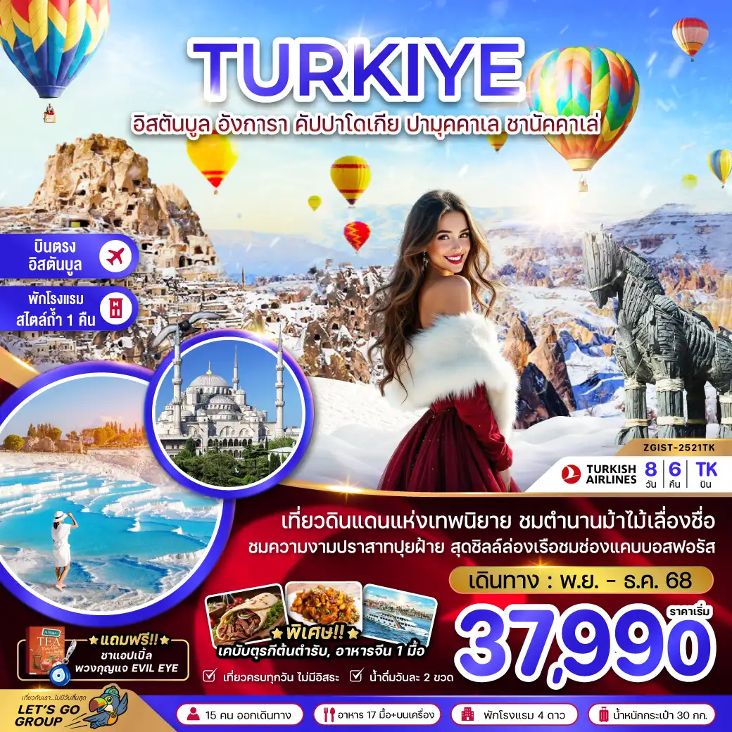 ทัวร์ตุรเคีย WINTER อิสตันบูล อังการา คัปปาโดเกีย ปามุคคาเล่ ซานัคคาเล 8วัน 6คืน (TK)