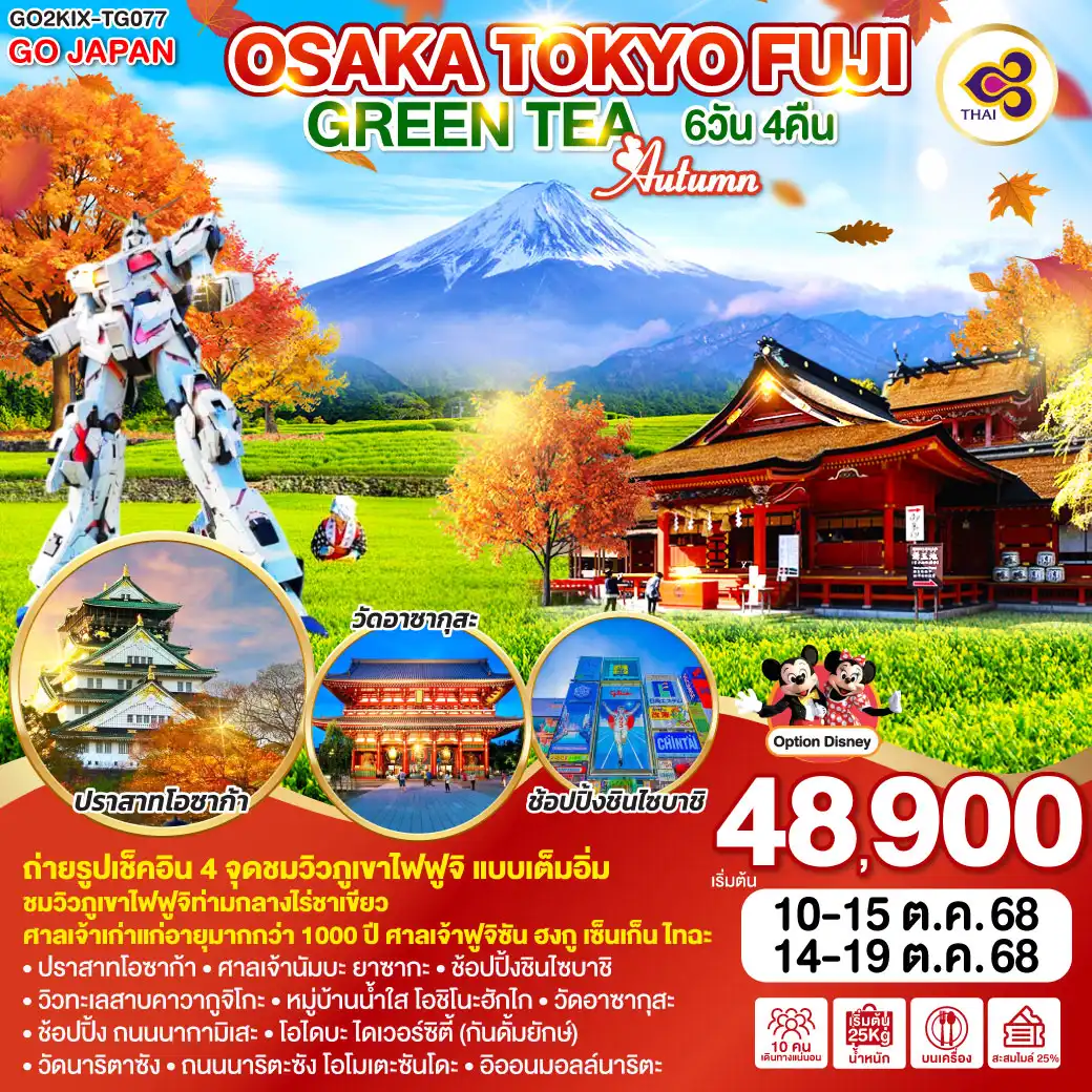ทัวร์ญี่ปุ่น OSAKA TOKYO FUJI GREEN TEA AUTUMN 6วัน 4คืน (TG)