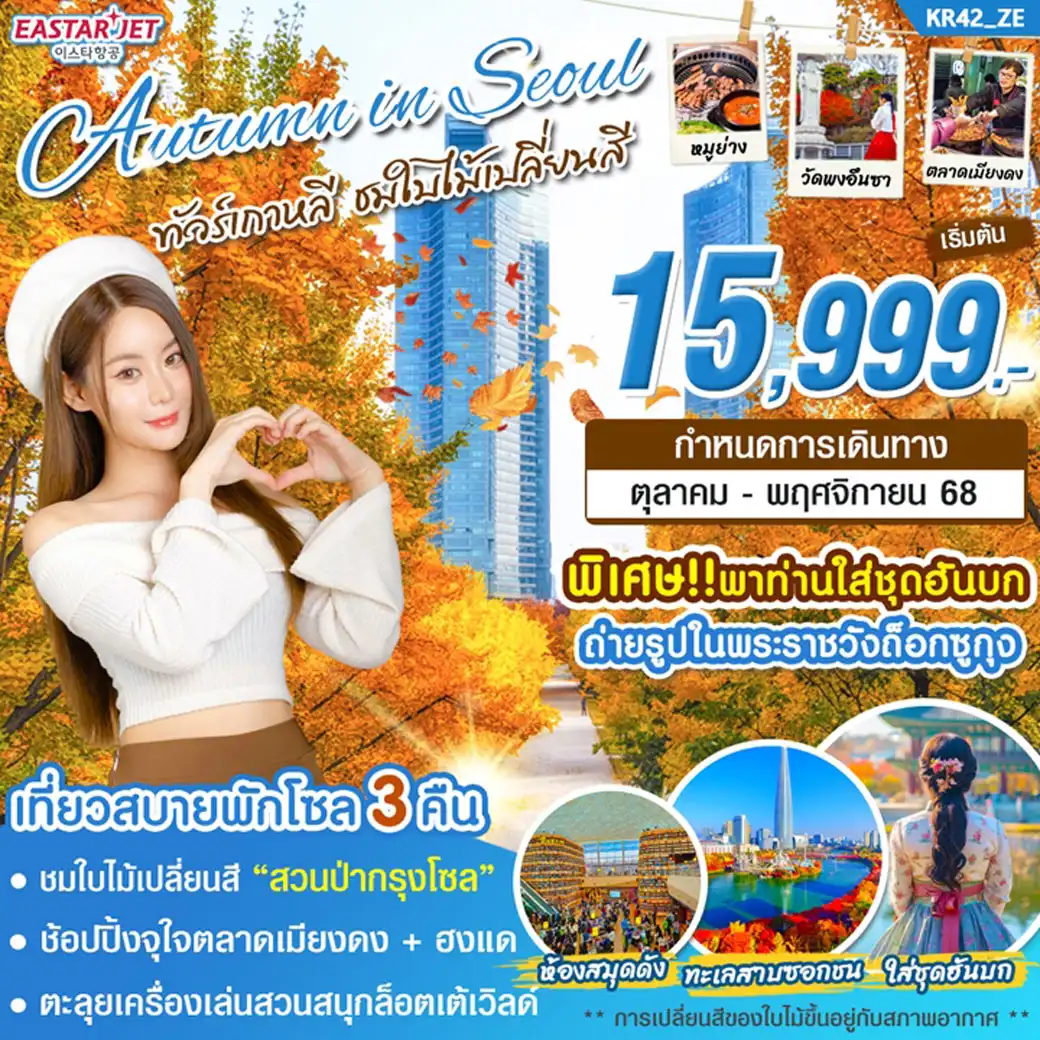 ทัวร์เกาหลี AUTUMN IN SEOUL 5วัน 3คืน (ZE)